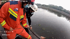 640 (9).gif